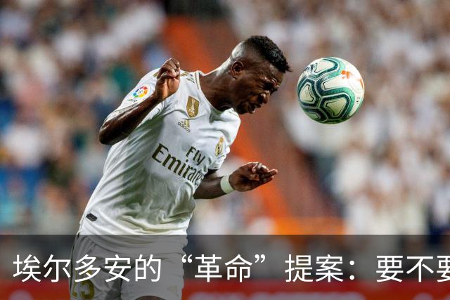 埃尔多安的“革命”提案：要不要把否决权扔进垃圾桶？